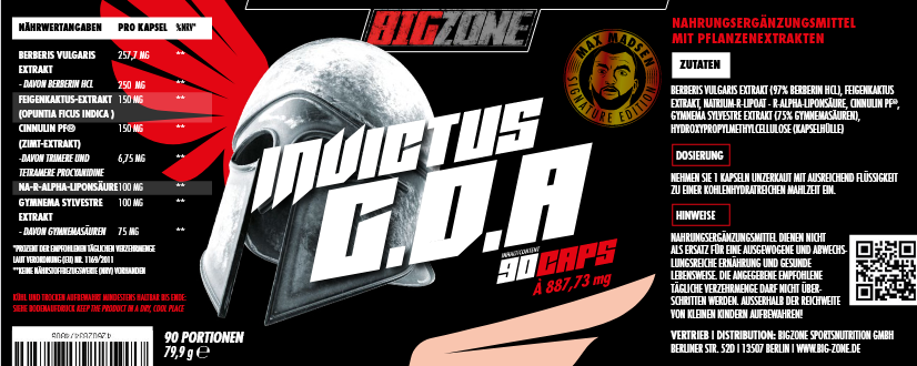 BIG-ZONE Invictus G.D.A